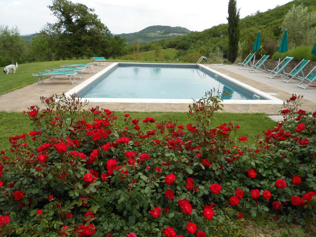 Вилла Agriturismo Erta Казоле-д'Эльса Экстерьер фото