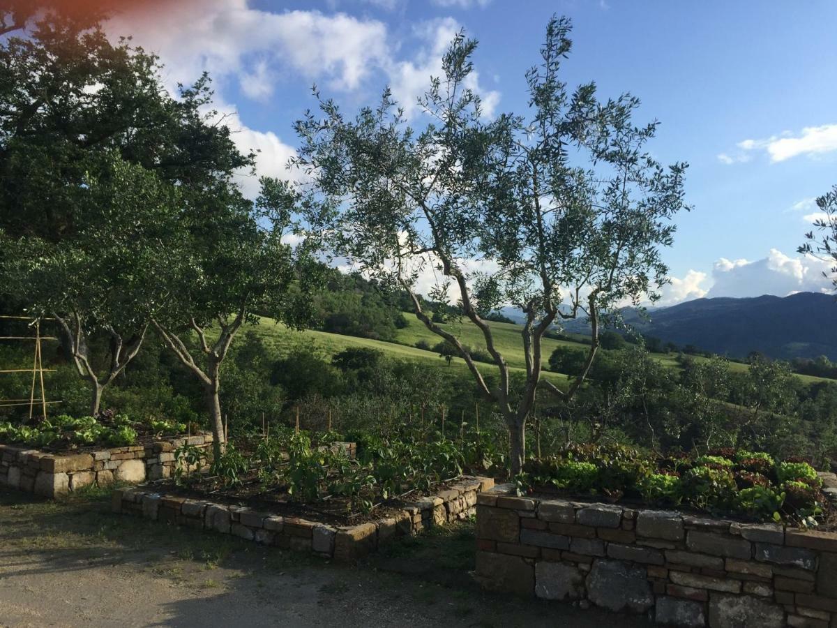 Вилла Agriturismo Erta Казоле-д'Эльса Экстерьер фото